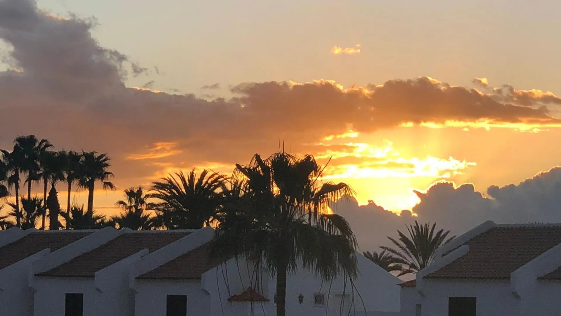 Parque Santiago 1, D-234 By Tenerife Dream Properties Playa de las Americas  Spain